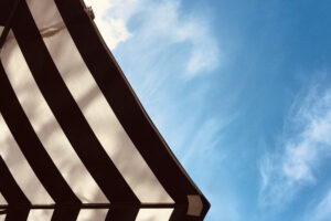 One Long and Serious Chicken Pecker