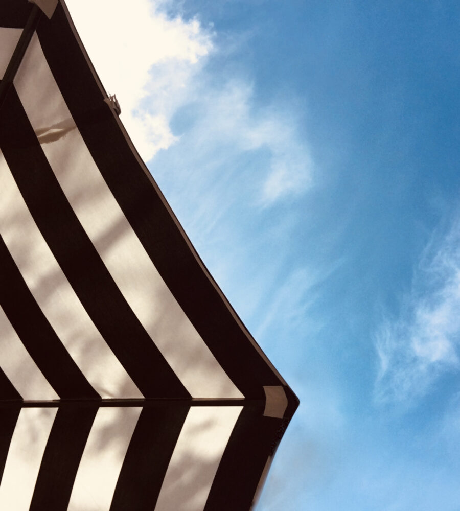 One Long and Serious Chicken Pecker