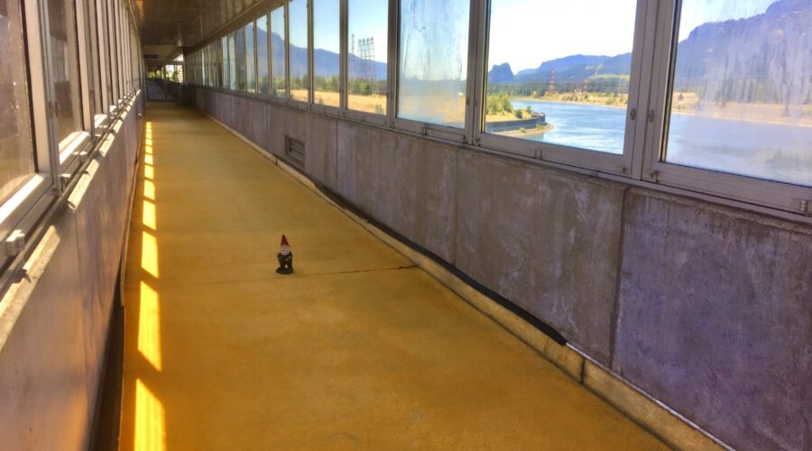 Autopsy Food for Thought