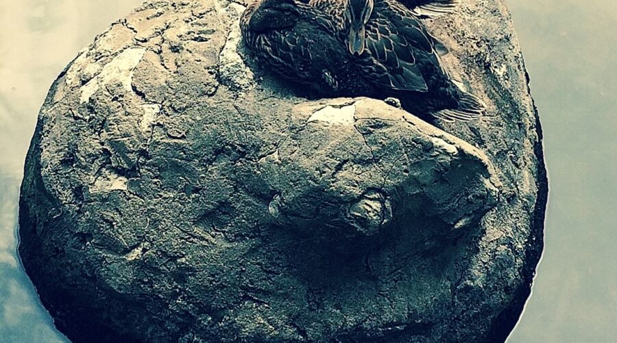 Where the Fuck Is Mom?