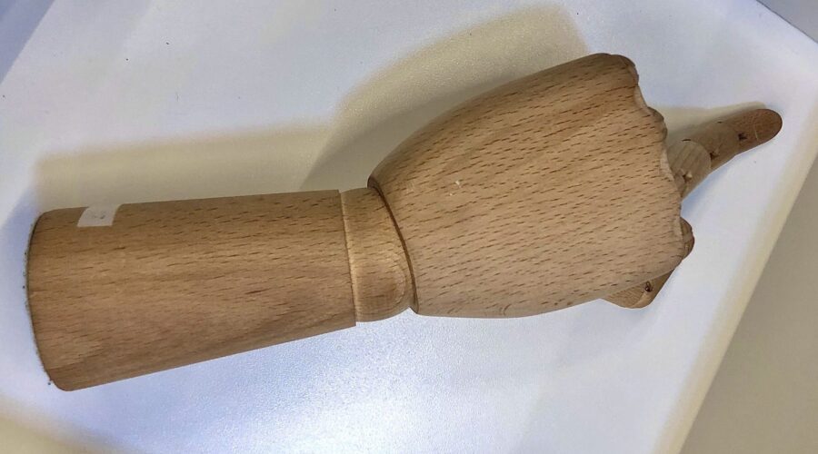 The Whole Fucking Bird