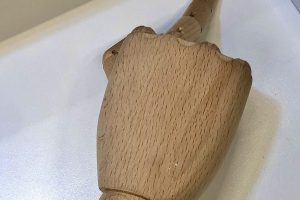 The Whole Fucking Bird
