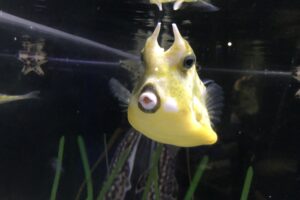 Shitty Writing, Good Living