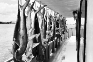 No Nail Havin’ Fly Killa