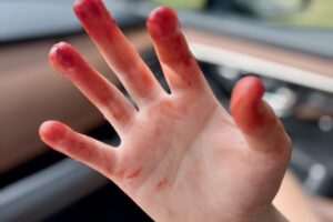 Do as I Say…and as I Do