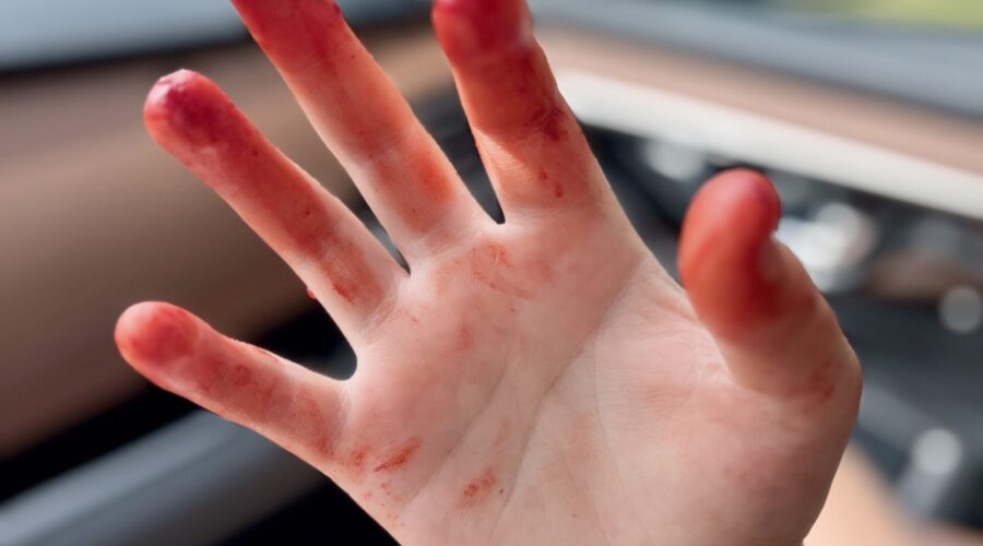 Do as I Say…and as I Do