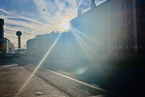 Semi Zen, Total Bullshit