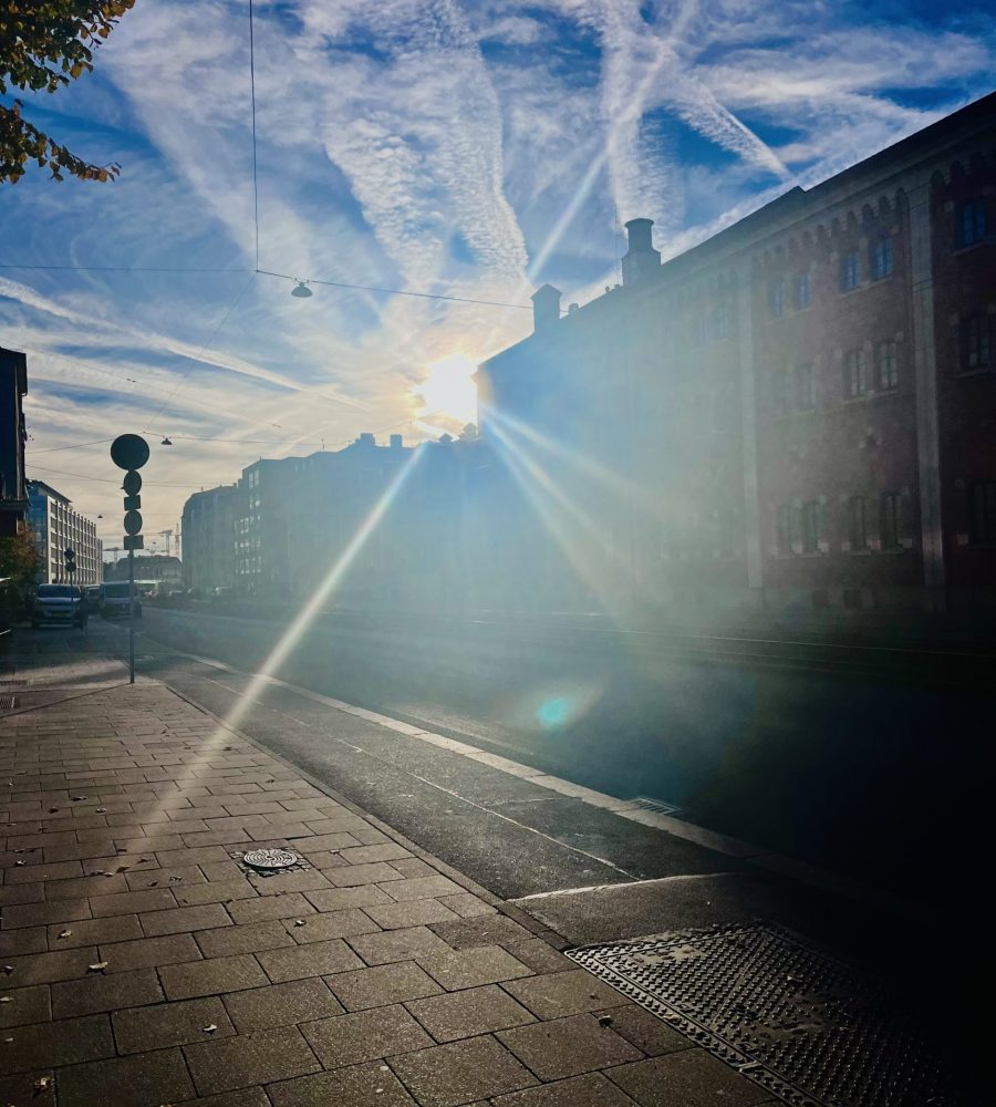 Semi Zen, Total Bullshit