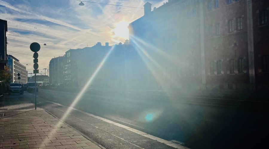 Semi Zen, Total Bullshit