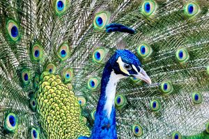 Write, Wrong, (Wr)exy