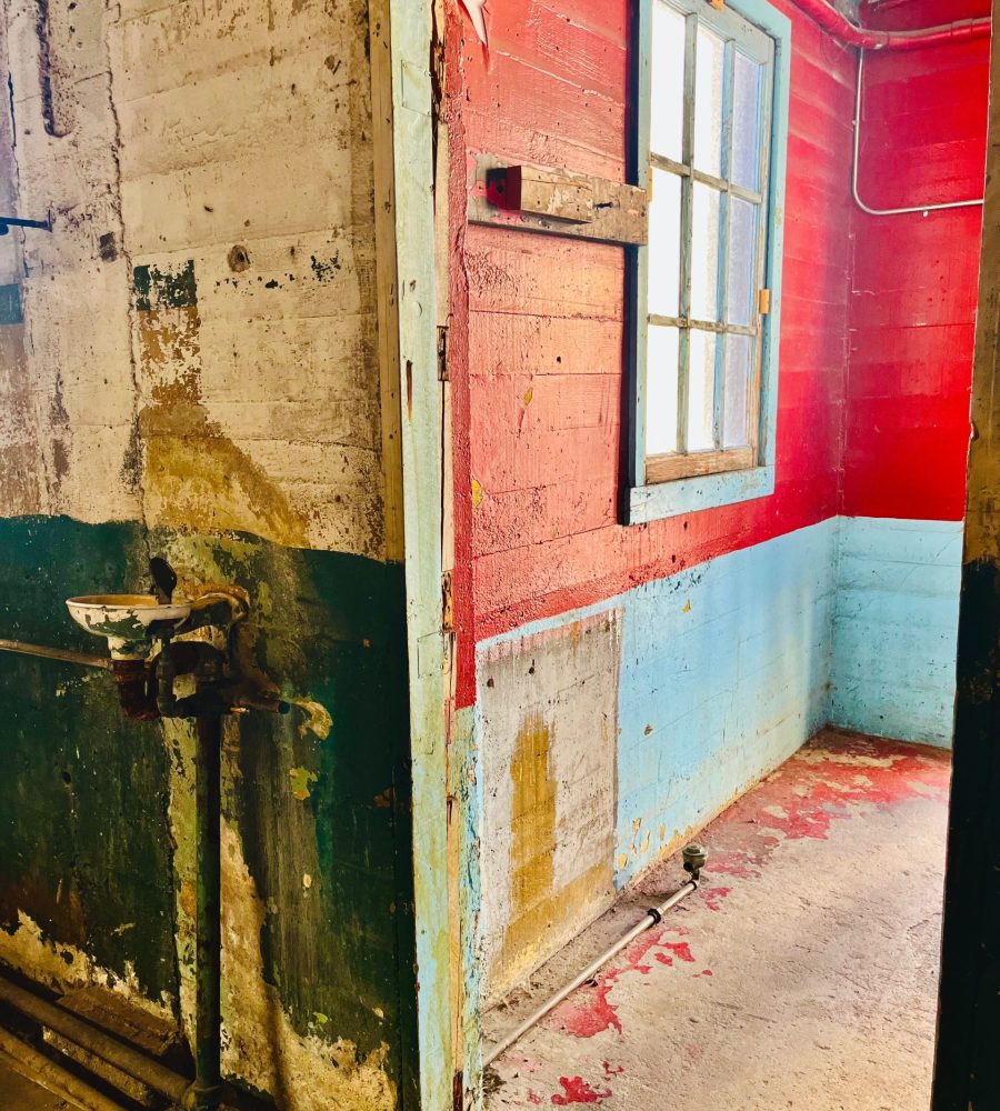 Uno “Birdo” Comprendo